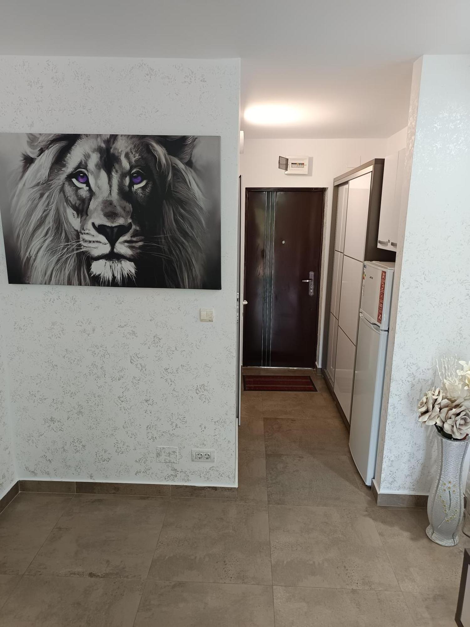 Dika Sofia Residence Mangalia Exteriér fotografie